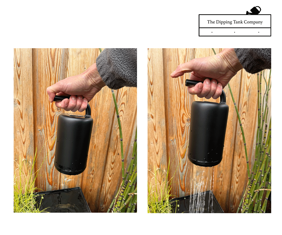 Small Depper Little Dipper – The Dipping Tank Company
