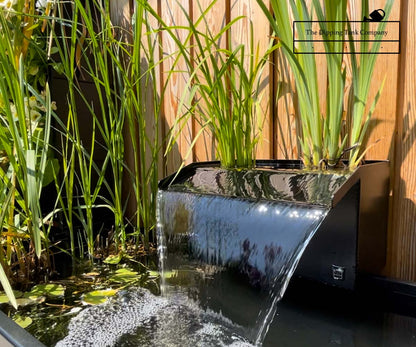 30cm waterfall installed with aquatic plants in creating blade of water effect