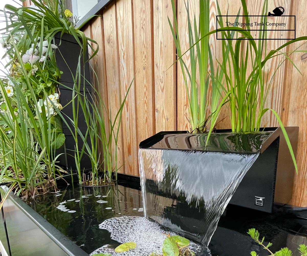 30cm dipping tank waterfall surrounded by aquatic plants