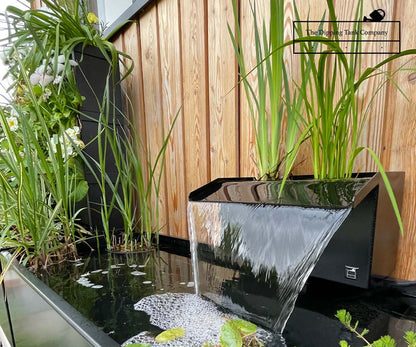 30cm dipping tank waterfall surrounded by aquatic plants