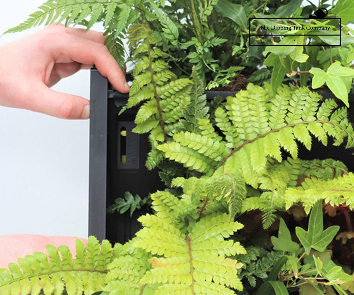 close up of water level indicator on living wall