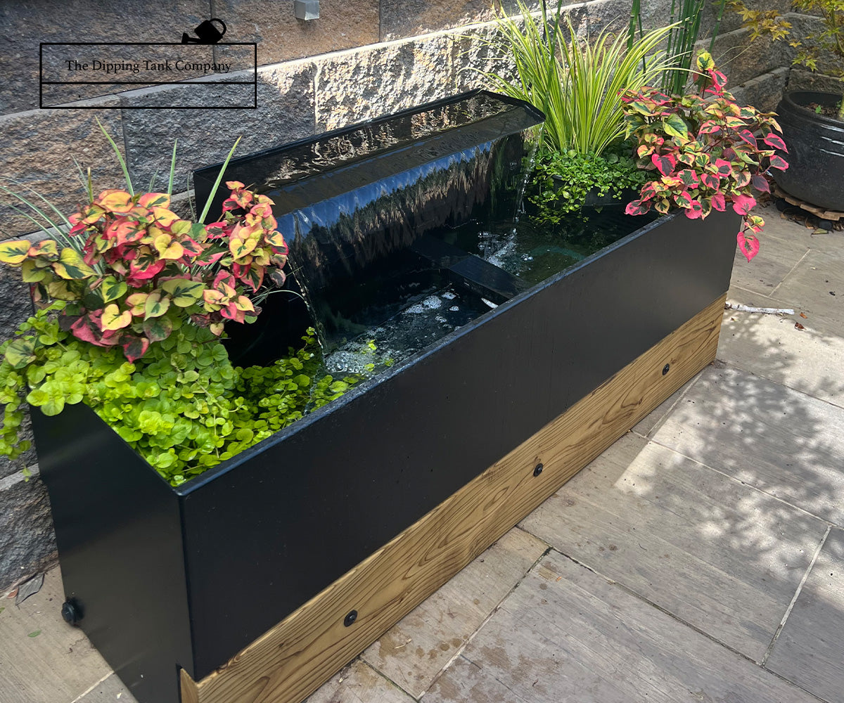beautiful dipping tank with large waterfall and aquatic plants